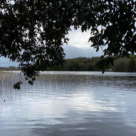 Lilac Manor Bed and Breakfast