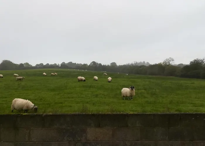 Lilac Manor Frühstückspension